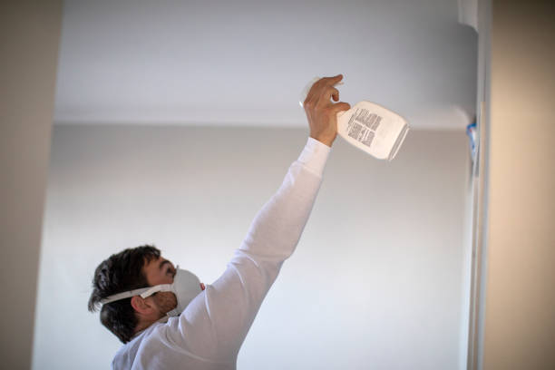 Certified Mold Removal in Chatham, IL