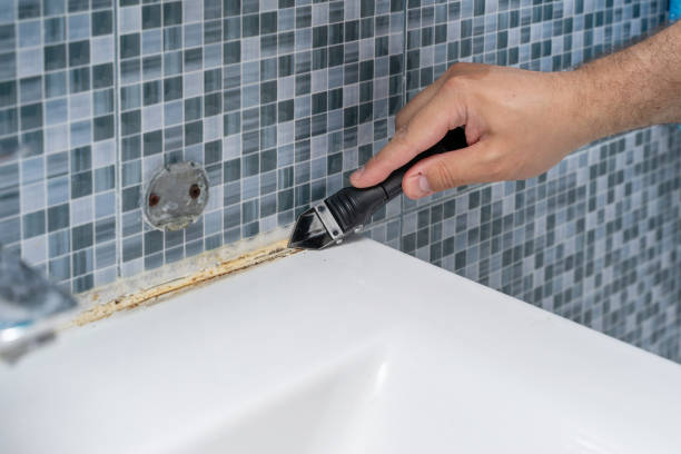 Professional Mold Removal in Chatham, IL